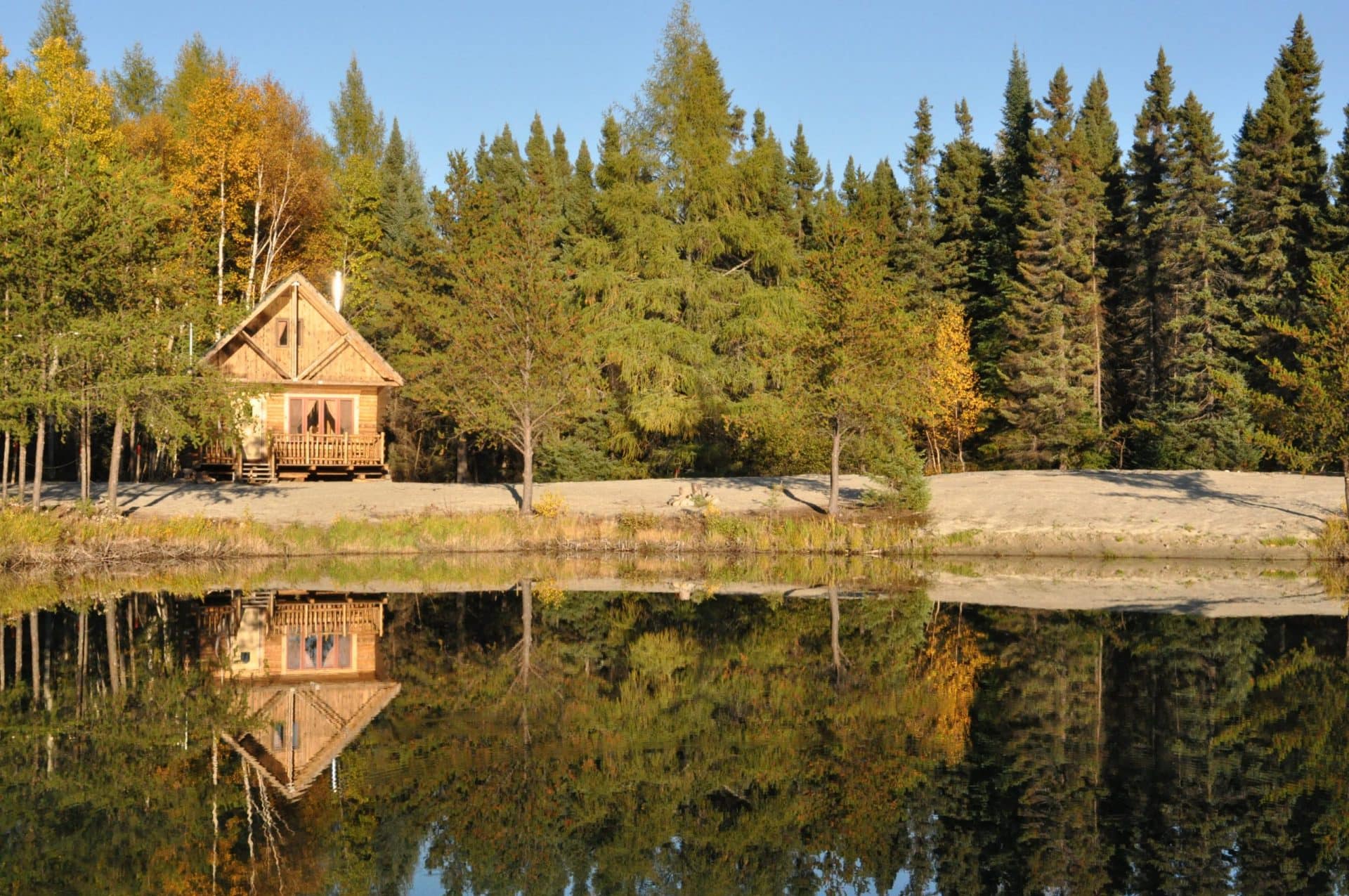 La Coureuse des Bois